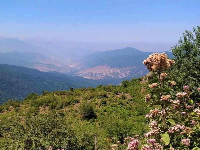 چگونه به مازندران برسیم؟ راهنمای کامل مسیر سفر به مازندران